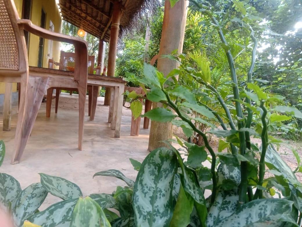 Kelaya At Hiriketiya Collection Hotel Dikwella Esterno foto