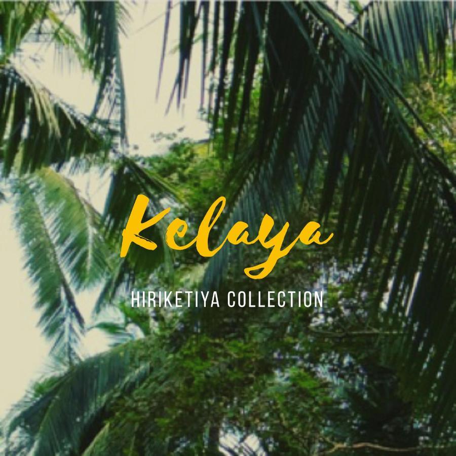 Kelaya At Hiriketiya Collection Hotel Dikwella Esterno foto